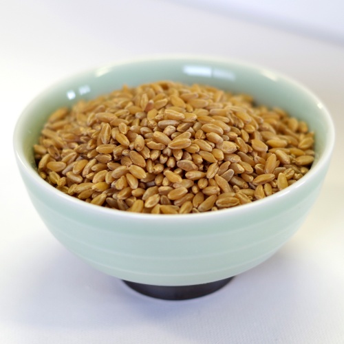 Durum Wheat by Rainy Day Foods