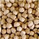 Sprout Seed Garbanzo Beans 1.5 lb mylar bag by Rainy Day Foods