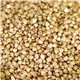 Sprout Seed Natural Hulled Buckwheat 1.5 lb mylar bag by Rainy Day Foods