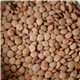 Sprout Seed Lentils, Green 1.5 lb mylar bag by Rainy Day Foods