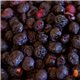 Freeze Dried Fruit Pak Kit - Quality Food Storage with Real Food from Food Assets